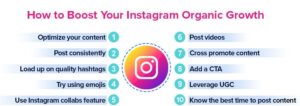 Organic InstaGram Marketing
